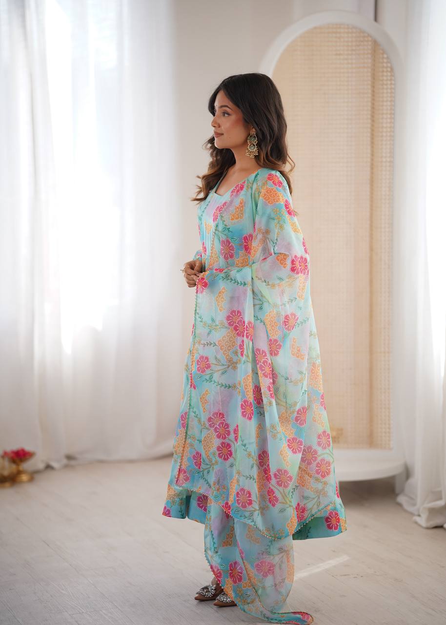 Sky Organza Kurta Set